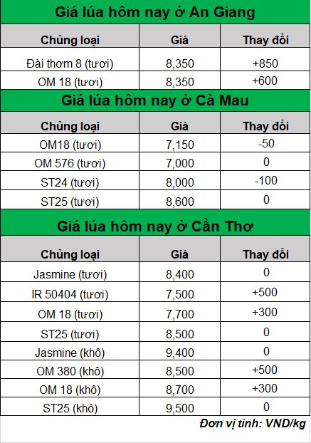 bang gia lua hom nay 15.8.2024_1723688844.png